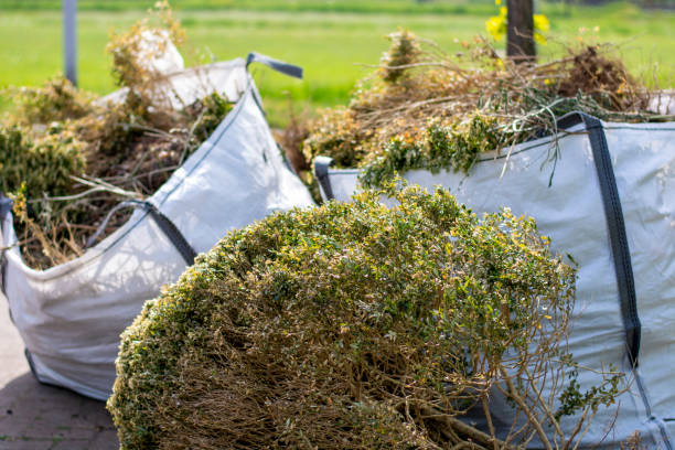Best Carpet Removal and Disposal  in South Fulton, TN